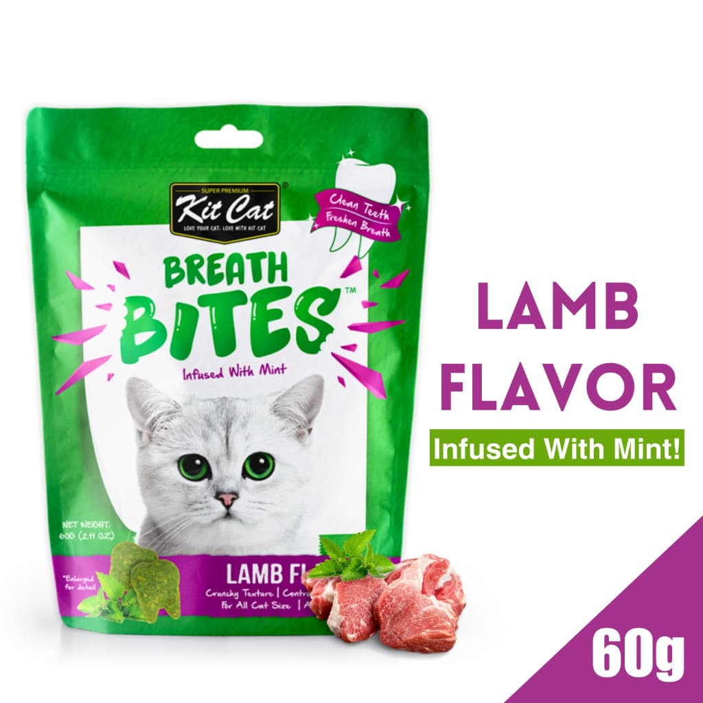 Kit Cat Treats Kitty Crunch/Breath Bites for Adult/Kitten, 60g KitCat Dental Snacks - Breath Lamb variant