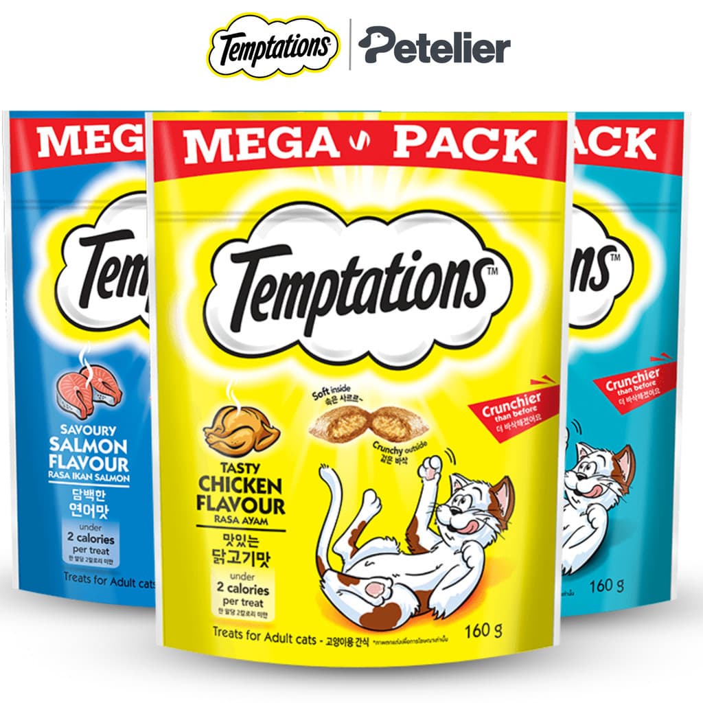 Temptations Soft & Crunchy Cat Treats for Adult 160g