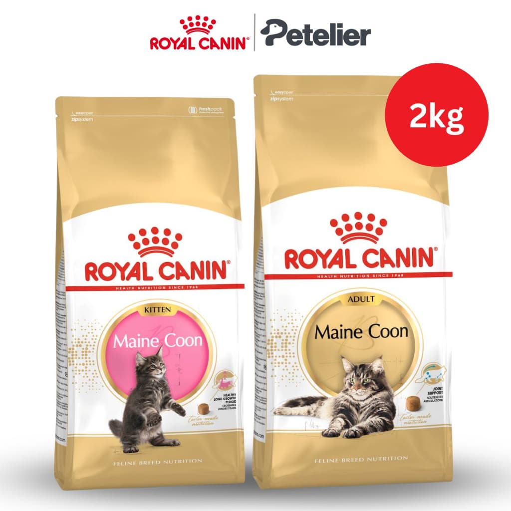 Royal Canin Maine Coon Adult/Kitten Dry Cat Food 2kg