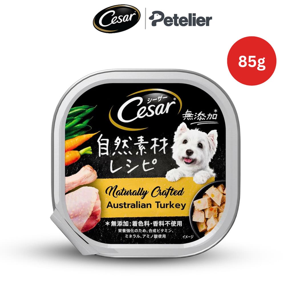 Cesar Classic Tray Wet Dog Food 85g and 100g for Adult - AustralianTurkey 85g variant