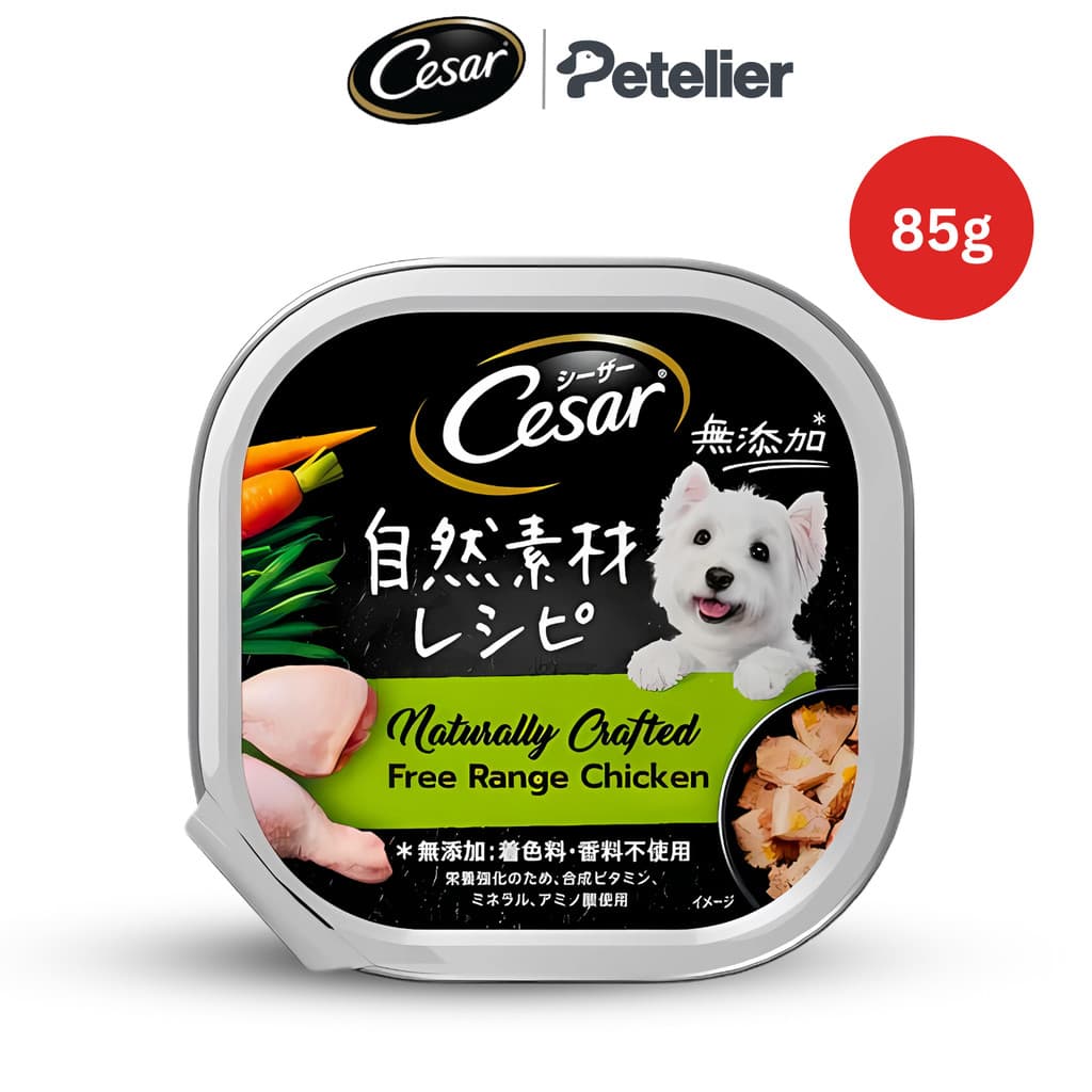 Cesar Classic Tray Wet Dog Food 85g and 100g for Adult - Chicken 85g variant
