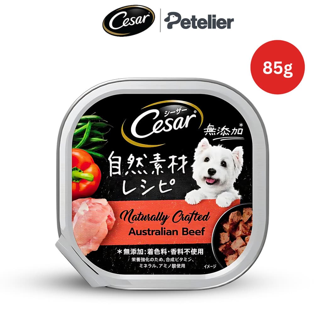 Cesar Classic Tray Wet Dog Food 85g and 100g for Adult - Australian Beef 85g variant