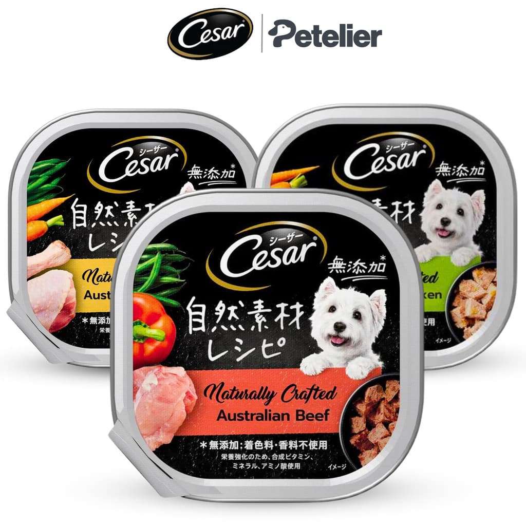 Cesar Classic Tray Wet Dog Food 85g and 100g for Adult